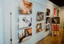 Exposição fotográfica reúne mulheres para falar dos  desafios da amamentação, em Caxias do Sul