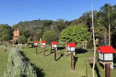 Abelhas sem ferrão são novos atrativos no Esculturas Parque Pedras do Silêncio, em Nova Petrópolis.<!-- NICAID(15511519) -->