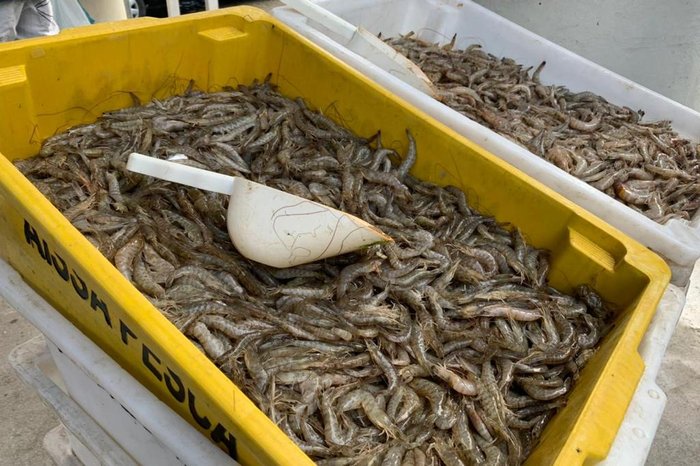 Joanna Manhago / Arquivo / Agência RBS