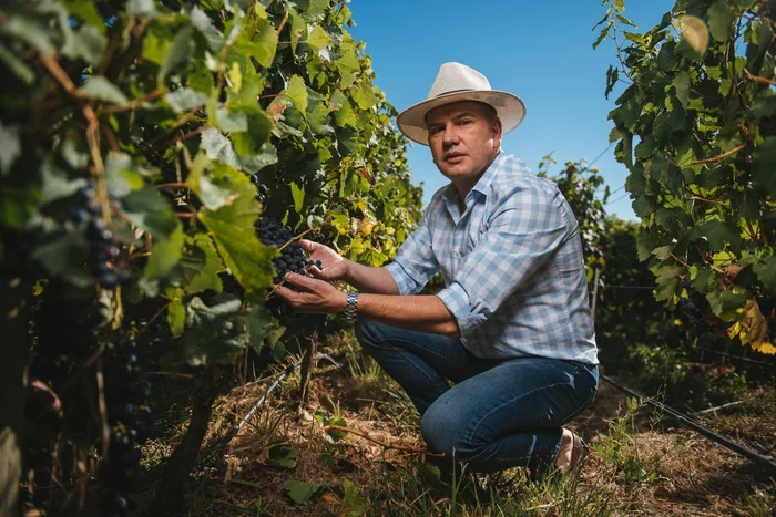 Bischoff Group / Divulgação