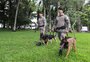 Batalhão de Caxias do Sul se destaca em treinamento estadual de cinotecnia; conheça trabalho na Brigada Militar