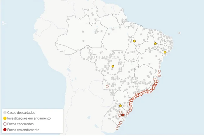 Ministério da Agricultura / Reprodução Ministério da Agricultura / Reprodução