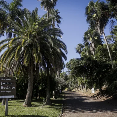 Porto Alegre, RS, Brasil, 15-05-2025: Situação do Jardim Botânico depois de sete anos da extinção da Fundação Zoobotânica e tentativas de fracassadas de concessão. Foto: Mateus Bruxel / Agência RBSIndexador: MATEUS BRUXEL<!-- NICAID(16038037) -->