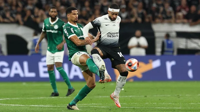 Cesar Greco / Palmeiras, divulgação