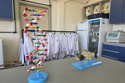 Laboratório de Ciências 4/12