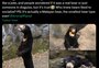 Zoológico na China nega boato de que urso seria um homem fantasiado; veja fotos