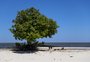 Perto de Porto Alegre e junto à Lagoa dos Patos, espaço em Itapuã é alternativa para curtir o verão