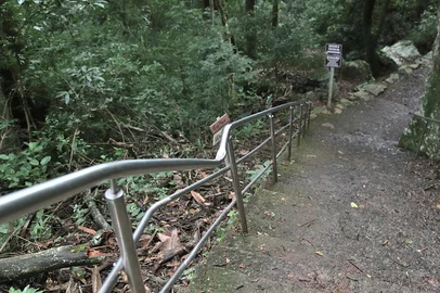 CAXIAS DO SUL, RS, BRASIL. 23.05.2025. Gruta da Terceira Légua, em Caxias, terá elevador panorâmico feito por voluntários. Iniciativa do frei Jaime Bettega busca tornar o santuário mais ível a idosos e pessoas com mobilidade reduzida. A gruta, de propriedade da Mitra Diocesana de Caxias do Sul, fica em meio à natureza no Travessão Santa Rita. Atualmente, para chegar até ela, o visitante precisa descer (e posteriormente subir) uma escadaria com 150 degraus (cada um deles representa uma oração do rosário).<!-- NICAID(16044248) -->