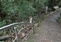 Gruta da Terceira Légua, em Caxias, terá elevador panorâmico feito por voluntários