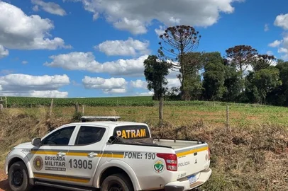 Polícia flagra quase 17,4 mil metros quadrados de desmatamento no norte do RS<!-- NICAID(15944090) -->