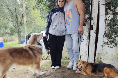 DPA/Semmas / Divulgação Após dez anos de espera, cadela é adotada em Feira de Adoção, em Caxias do Sul<!-- NICAID(16347948) -->