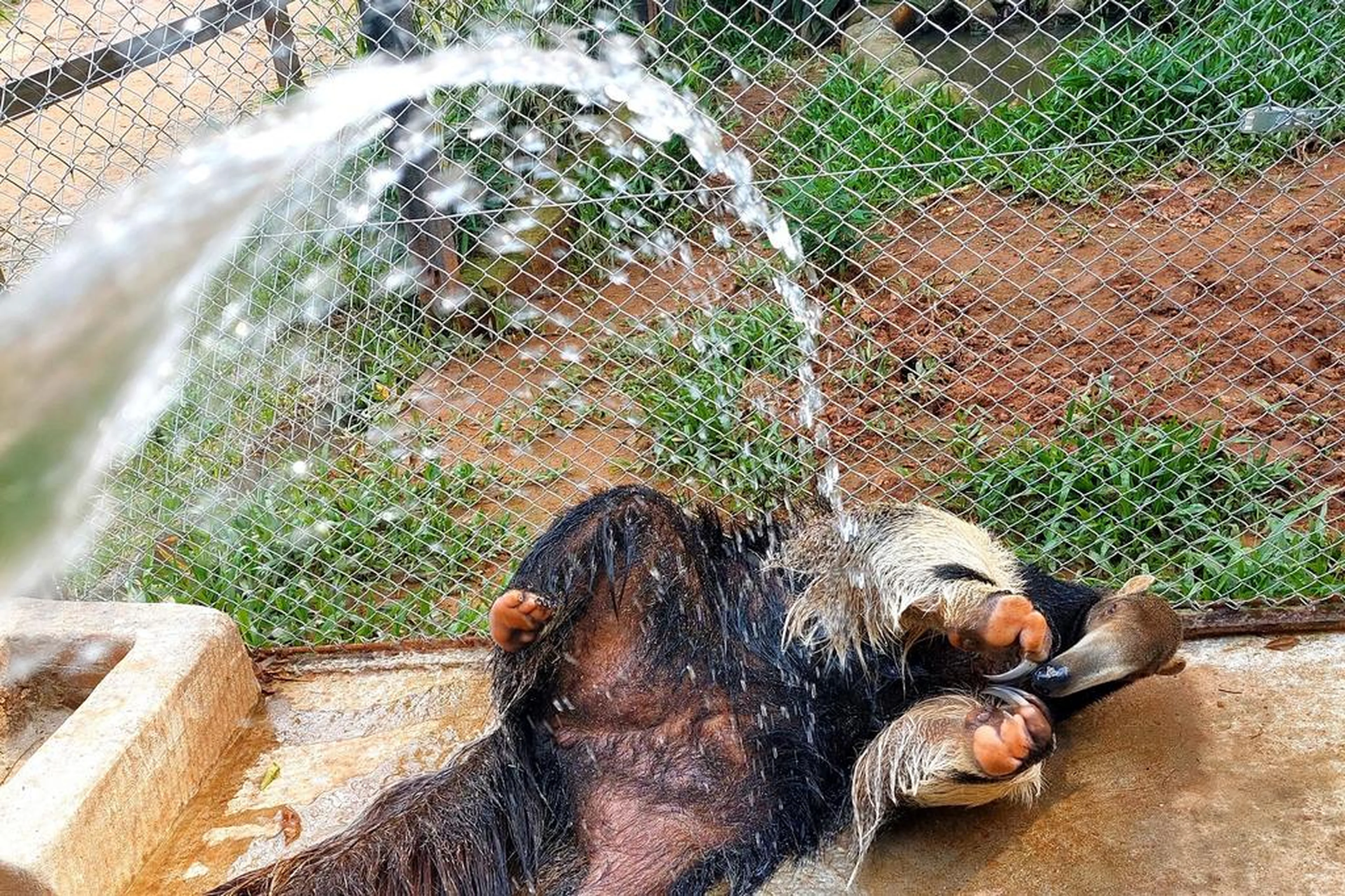 Parque Zoológico/Divulgação
