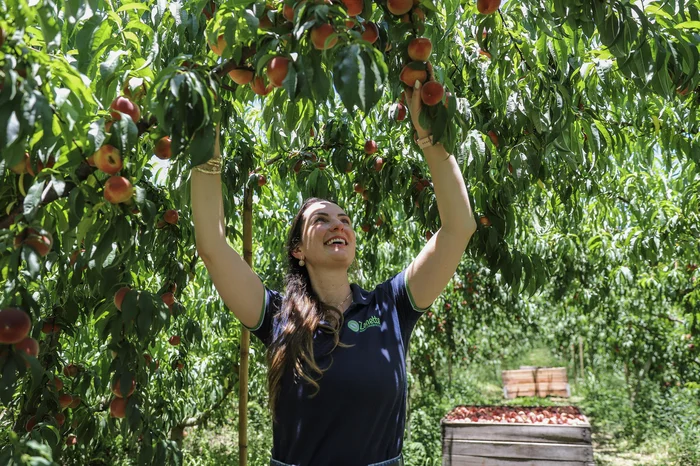 Ulisses Castro / Agencia RBS Ulisses Castro / Agencia RBS