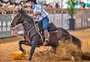 O que fez cavalo crioulo alcançar a maior valorização da raça, de R$ 22 milhões