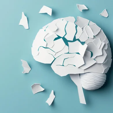 Top view of white paper cut out brain with piece ripped off on light blue background, concept for mental health or rotting mindTop view of white paper cut out brain with piece ripped off on light blue background, concept for mental health or rotting mind --ar 16:9 --v 6 Job ID: 3b217136-008f-411c-b090-b4ed0256968bFonte: 984078648<!-- NICAID(15926945) -->