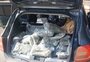 VÍDEO: apreendido na BR-386 o maior carregamento de skunk do ano no RS