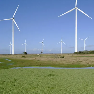 Parque éolico em Rio Grande não saiu do papel<!-- NICAID(15424717) -->