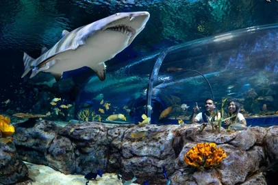 Gramado Natur Park<!-- NICAID(15678006) -->