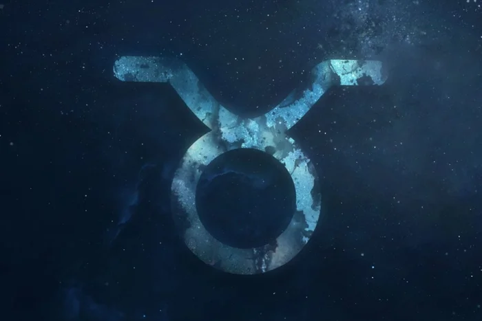 Dima Zel / Shutterstock | Portal EdiCase