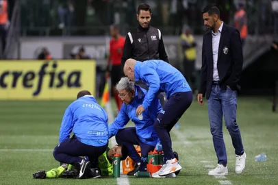 Dudu, Palmeiras