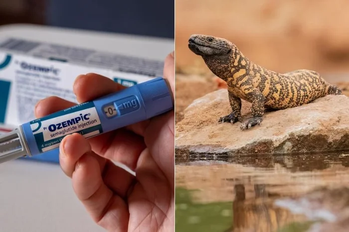 Danita Delimont / mbruxelle / stock.adobe.com