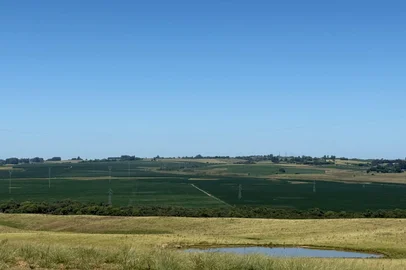 Condição das lavoura de soja no Rio Grande do Sul. Quadro de estiagem começa a dar sinais nas plantações.<!-- NICAID(16223848) -->