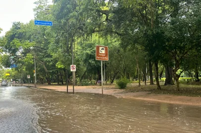 Chuva intensa causa estragos em Porto Alegre<!-- NICAID(15955105) -->
