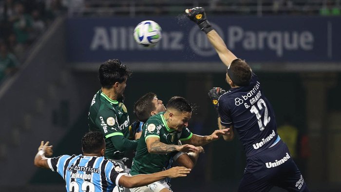 Cesar Greco / Divulgação Palmeiras