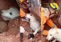 Bombeiros resgatam cão preso em meio a escombros em Minas Gerais; veja vídeo