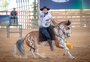 Cinco provas em um lugar: a semana do cavalo crioulo em Esteio
