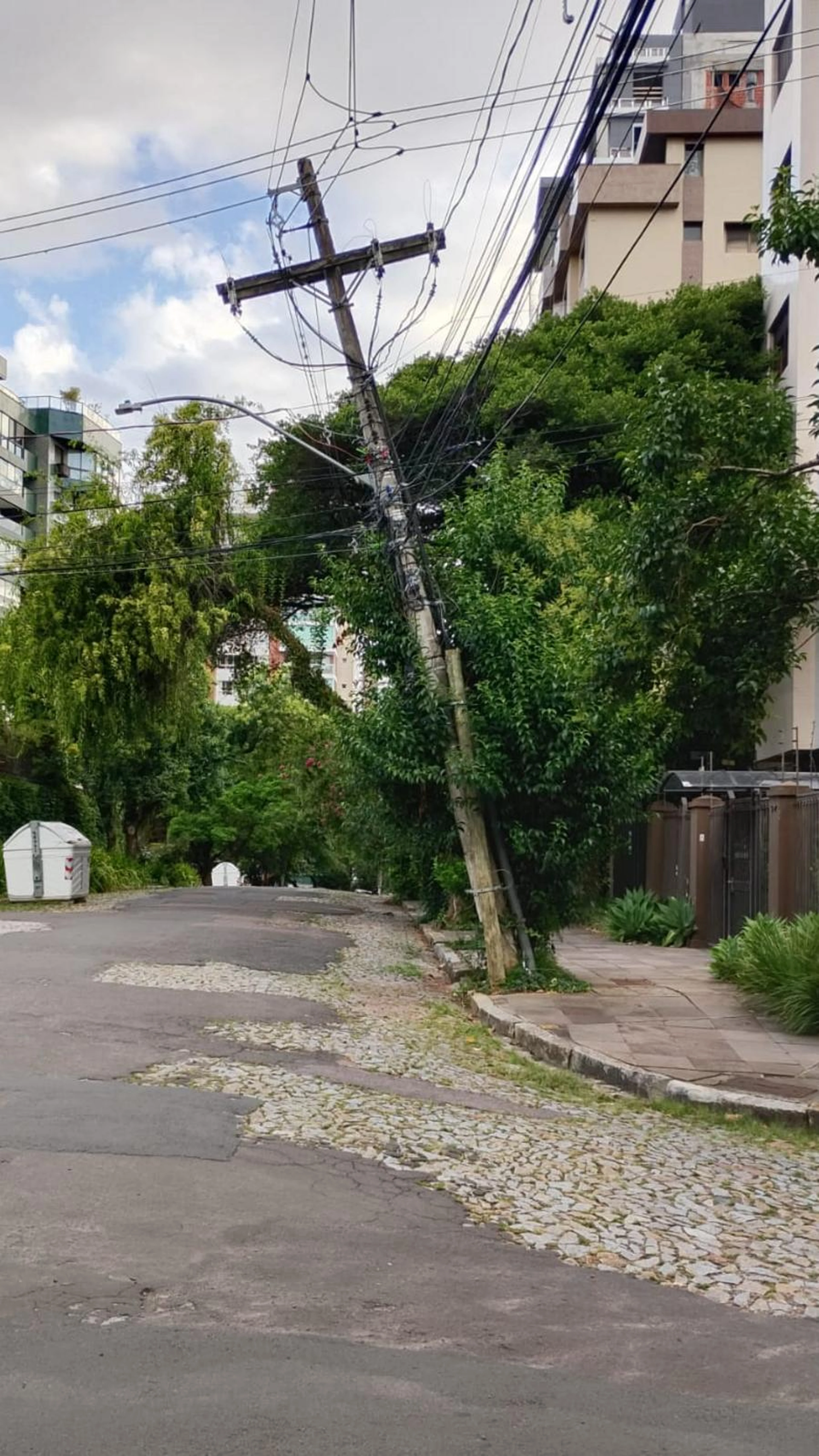 Eliana Godoy/Acervo Pessoal