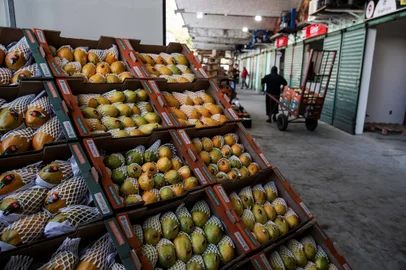 PORTO ALEGRE, RS, Brasil, 17.07.24: Como está a Ceasa com 1 mês de sua reinauguração após a enchente. Fotos: Duda Fortes / Agencia RBS<!-- NICAID(15816400) -->