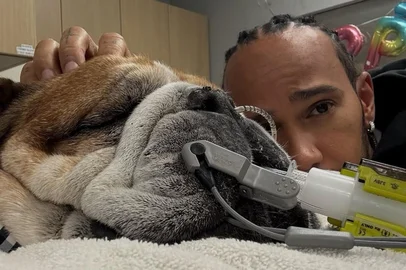 Lewis Hamilton e o cachorro Roscoe.<!-- NICAID(16134989) -->