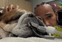 Lewis Hamilton lamenta morte de Roscoe, cachorro que o acompanhava nas provas da Fórmula 1