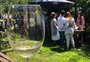 Vinhos da Natureza abre série de eventos com produtores na Serra
