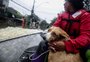 VÍDEO: como foi o resgate de uma cachorra em antiga fábrica em Porto Alegre