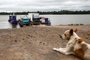 Triunfo, RS, Brasil, 18/01/2023 - Travessia de balsa pelo rio Jacuí entre os municípios de Triunfo e São Jerônimo é opção para encurtar trajeto, enquanto não há ponte na região. - Foto: Jonathan Heckler/Agência RBS<!-- NICAID(15324615) -->