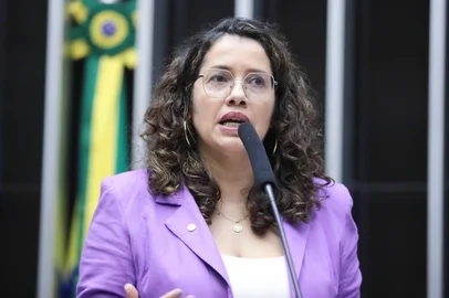 Deputada Denise Pessôa (PT)<!-- NICAID(15983102) -->