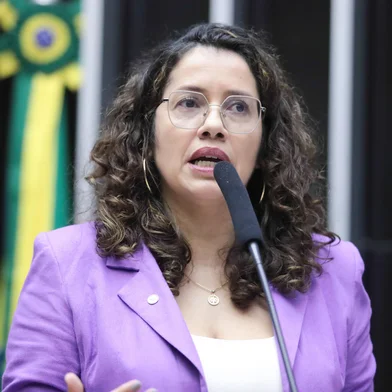 Deputada Denise Pessôa (PT)<!-- NICAID(15983102) -->