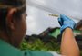 Casos confirmados de dengue na Capital em 2025 sobem 13% em relação ao ano passado
