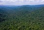 Fundo Amazônia: municípios poderão receber verba doada por outros países; veja valores e regras