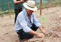 Após perdas durante o ano, segmento agrícola na Serra foca no processo de recuperação do solo