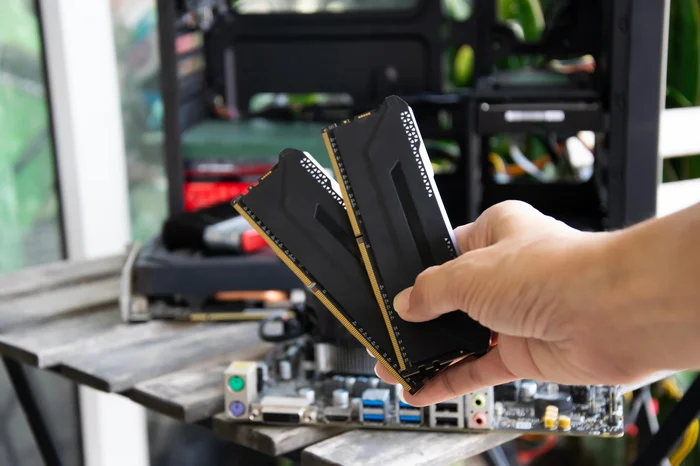 tanit / adobe.stock.com