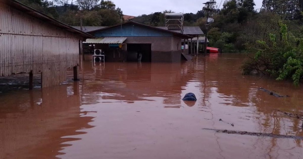 "Não sabemos se vamos conseguir nos recuperar ou nos levantar dessa ...