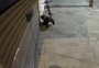 Lojistas relatam onda de arrombamentos e pedem mais policiais na área central de Caxias