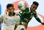 Grêmio perde para o Palmeiras e agora terá de secar rivais para não cair na tabela do Brasileirão