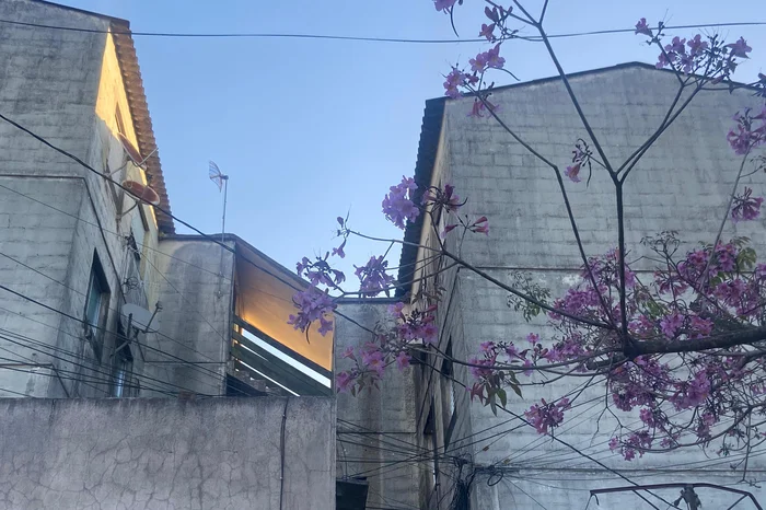 Ígor Islabão / Grupo RBS