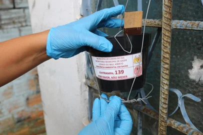 Neste início de ano, a nova ferramenta de monitoramento contra a dengue adotada pela Secretaria Municipal da Saúde (SMS) no ano passado se mostra uma importante aliada no combate ao vetor. De todos os 143 focos identificados e eliminados até o momento, 48 estavam nas ovitrampas, que são as armadilhas instaladas pela Vigilância Ambiental em Saúde.<!-- NICAID(15968402) -->