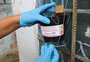 Armadilhas instaladas em Caxias do Sul pegam um terço dos focos do mosquito da dengue em 2025