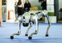 Conheça Chamarisco, o mascote da inovação na 25ª Expodireto Cotrijal